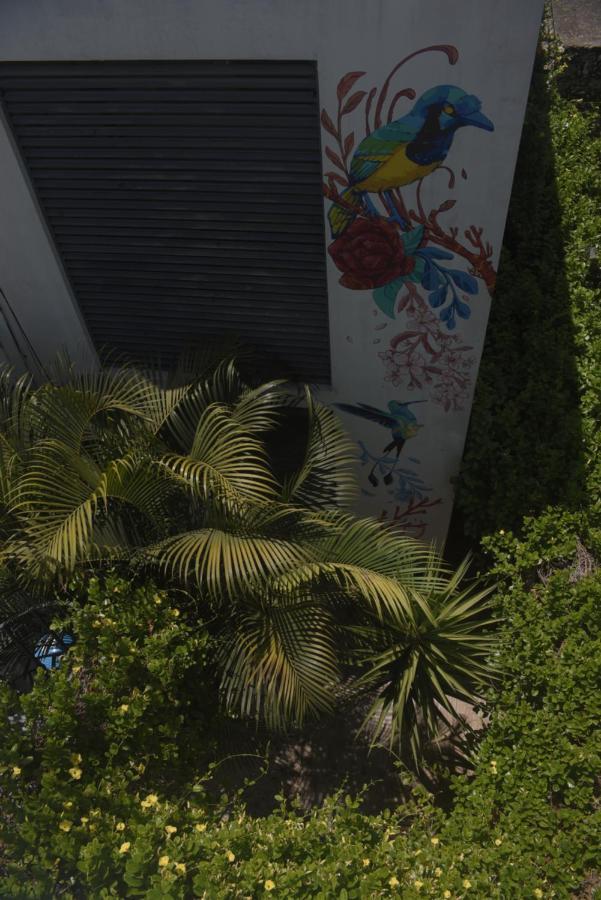 Departamentos Internazionale Apartment เมริดา ภายนอก รูปภาพ